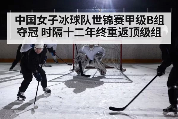 ice hockey game action