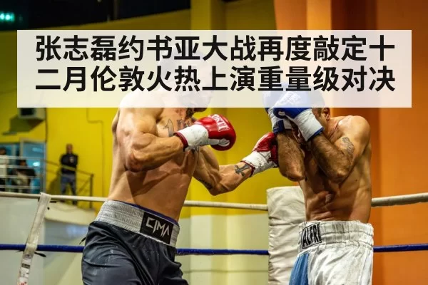 heavyweight boxer training