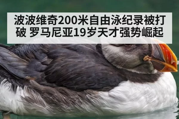 波波维奇200米自由泳纪录被打破 罗马尼亚19岁天才强势崛起